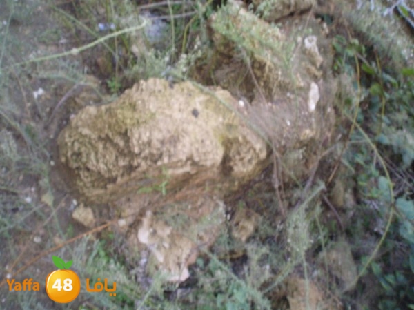 qeshla n 724 (16).JPG